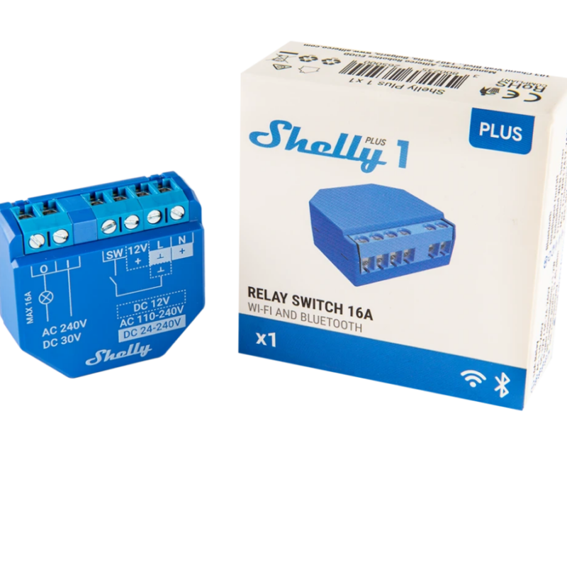 Shelly Plus 1